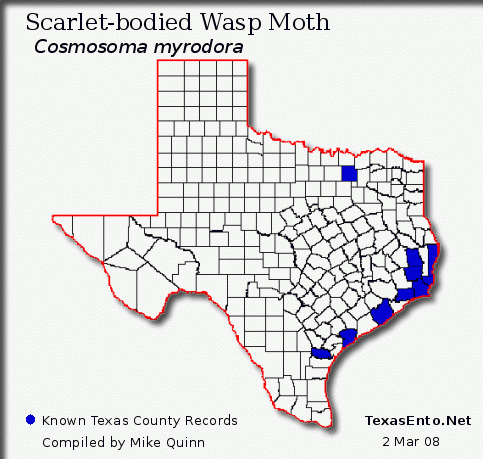 Texas County Records for Cosmosoma myrodora