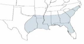 Dwarf Palmetto - Sabal minor - Range map