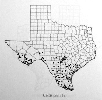 Spiny Hackberry range in Texas